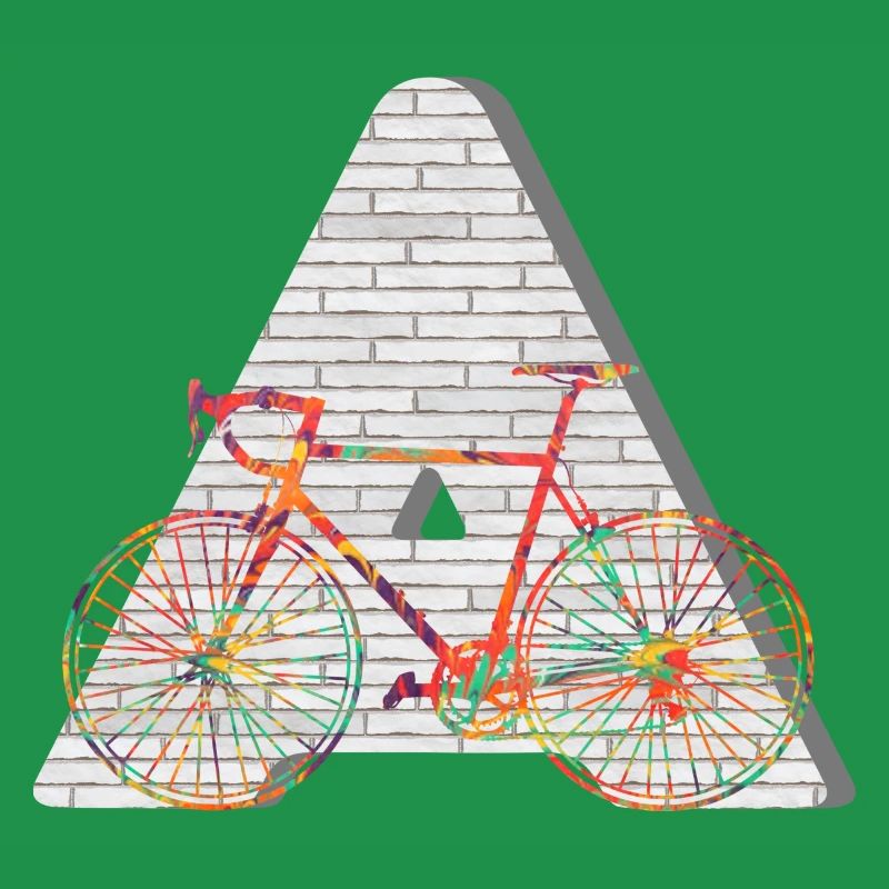 fahrrad e 249 a