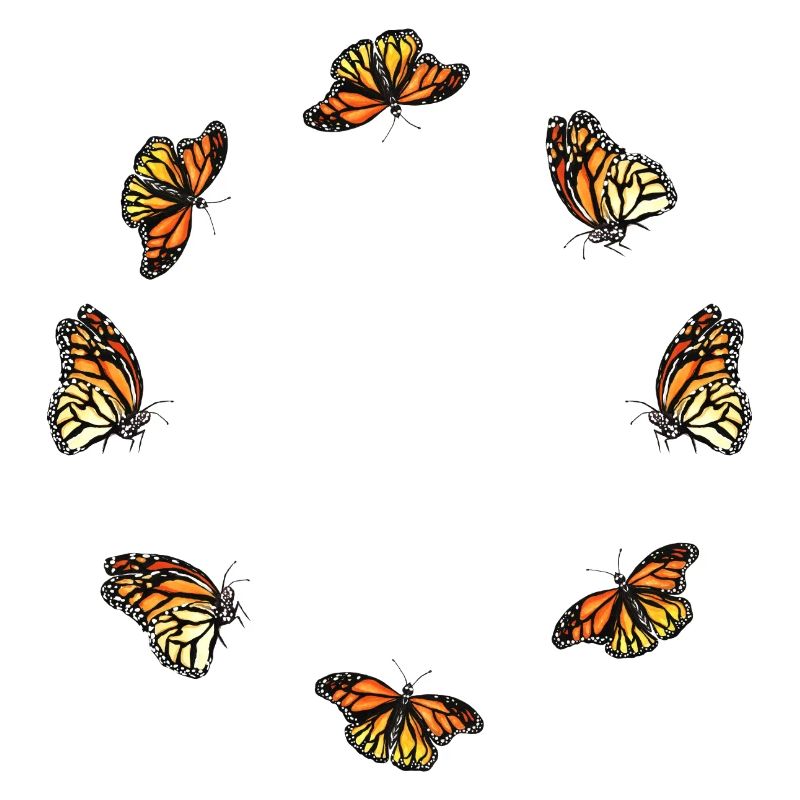 Schmetterling