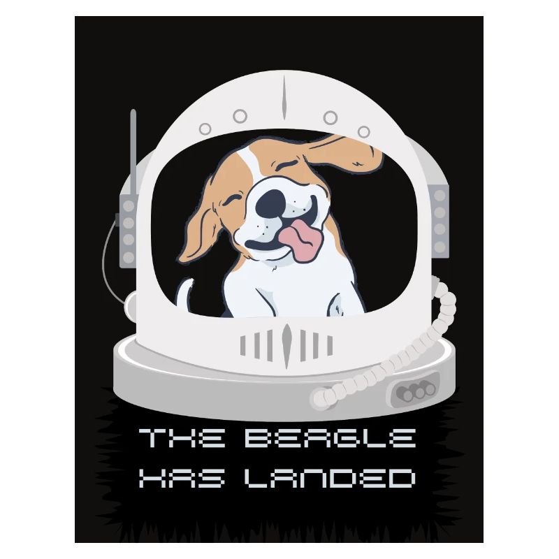 The Beagle has Landed
