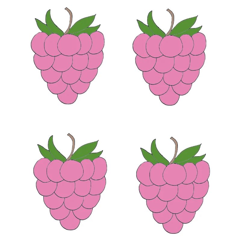 Raspberry Double Cluster Pattern