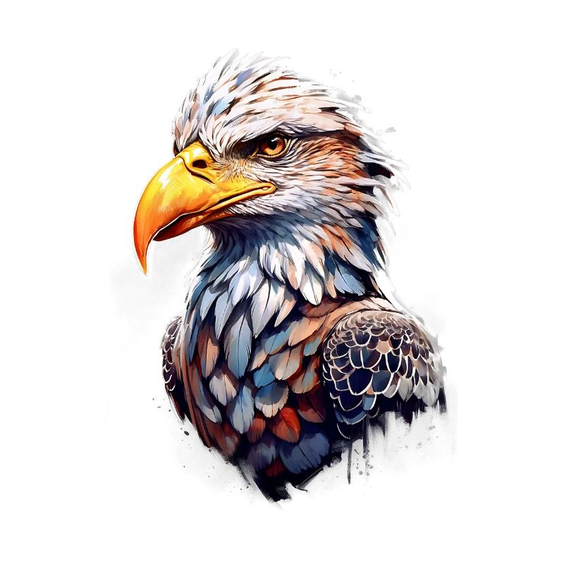 Adler Eagle V24 08