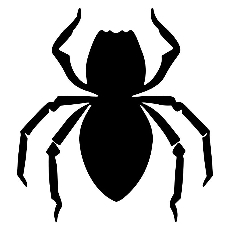 Spinne