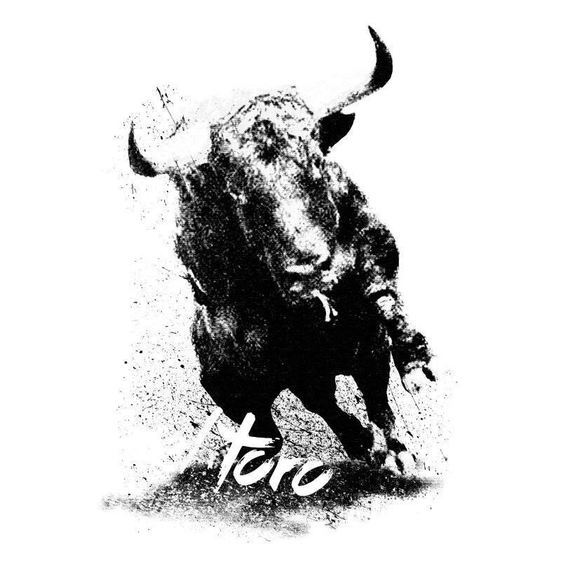 eltoro1