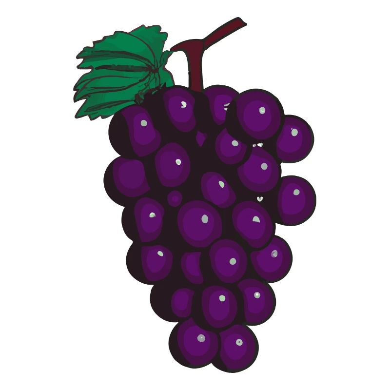 Grape Grapes Wine Illustration Gift Idea