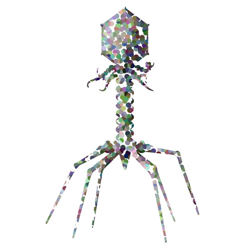 Bactériophage