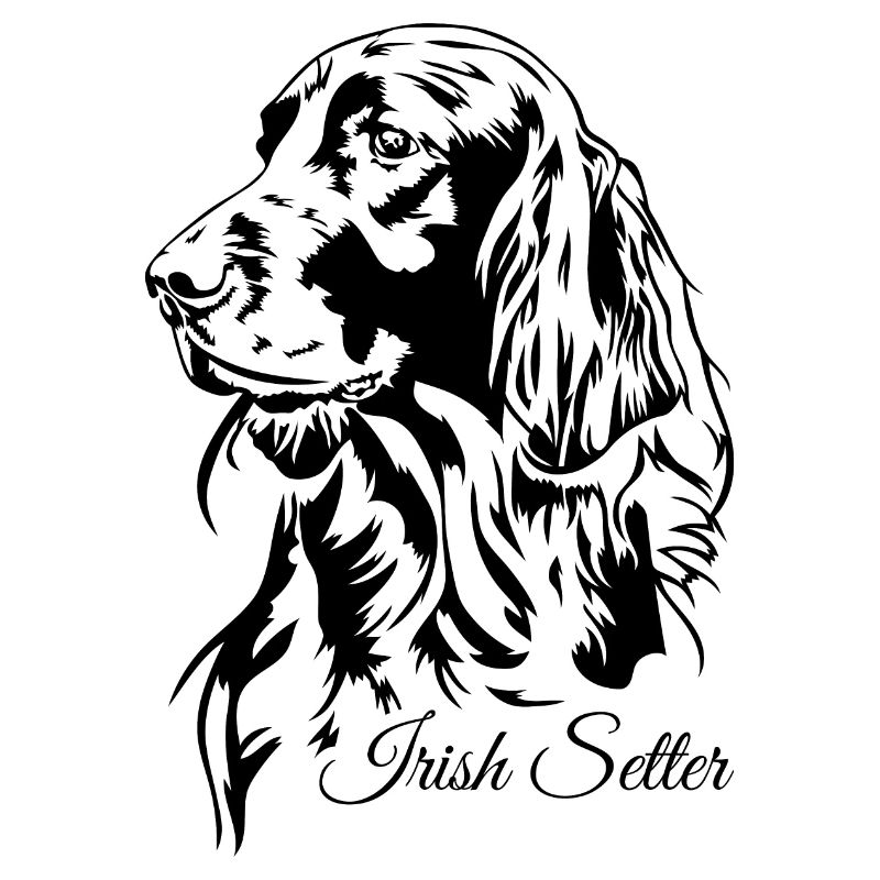 Irish Setter Jagdhund Jagdhunde Hunde Wilsigns