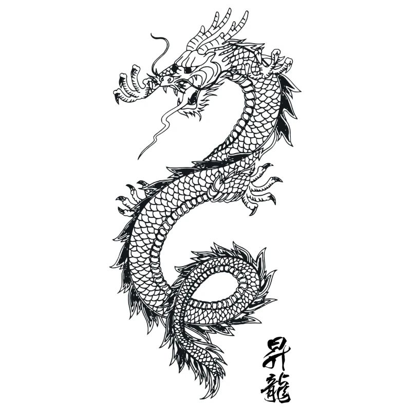 Limitierte Edition Drachen