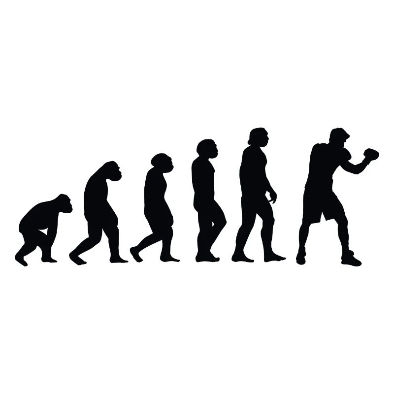 Evolution Boxing - Bo