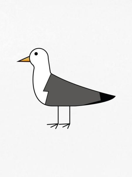 Möwe