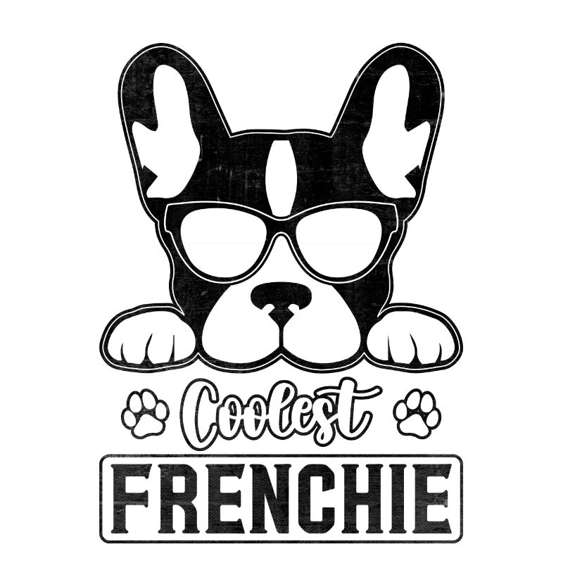 Frenchie le plus cool