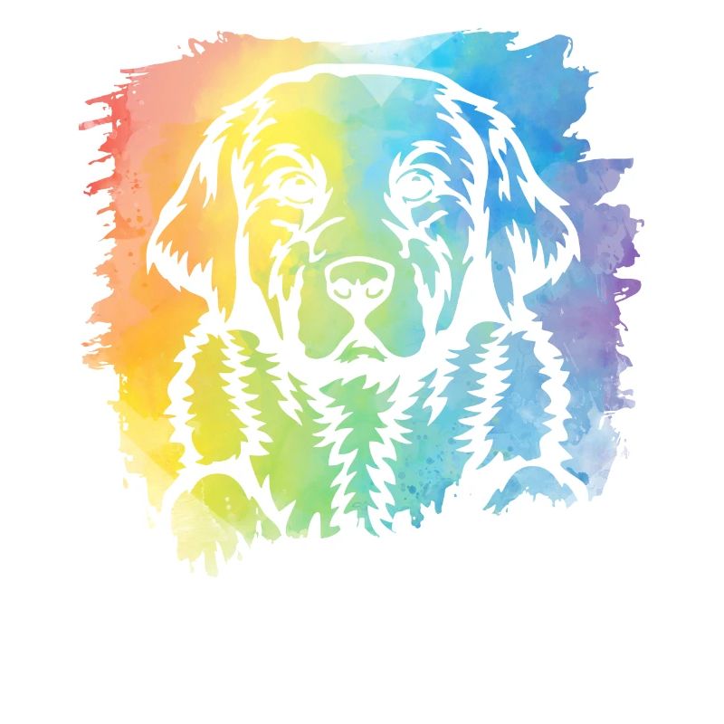 Labrador Rétro