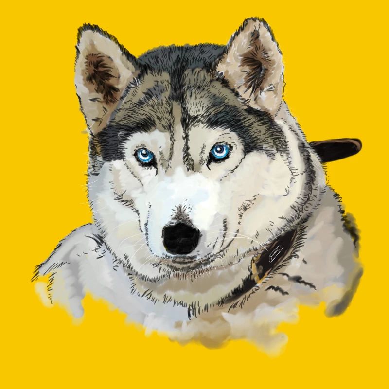 Husky