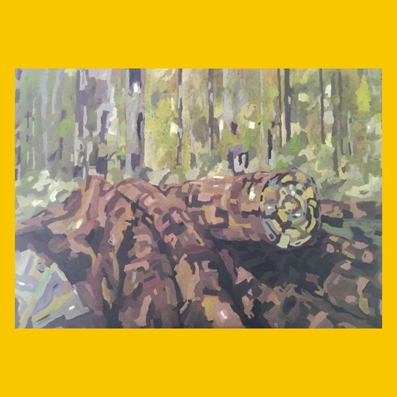 Baumstämme im Wald – eine impressionistische Landschaft