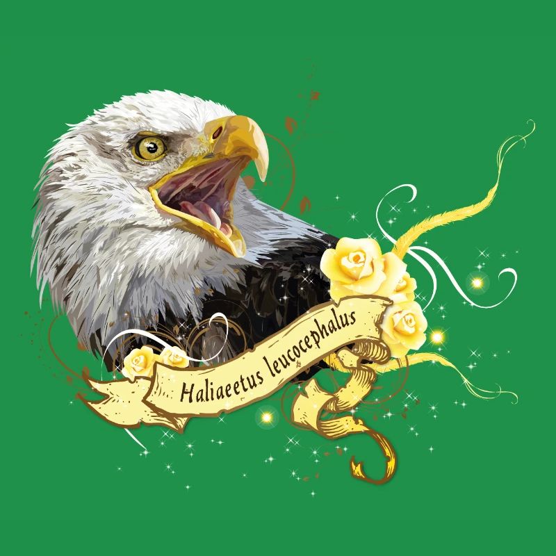 Bald eagle