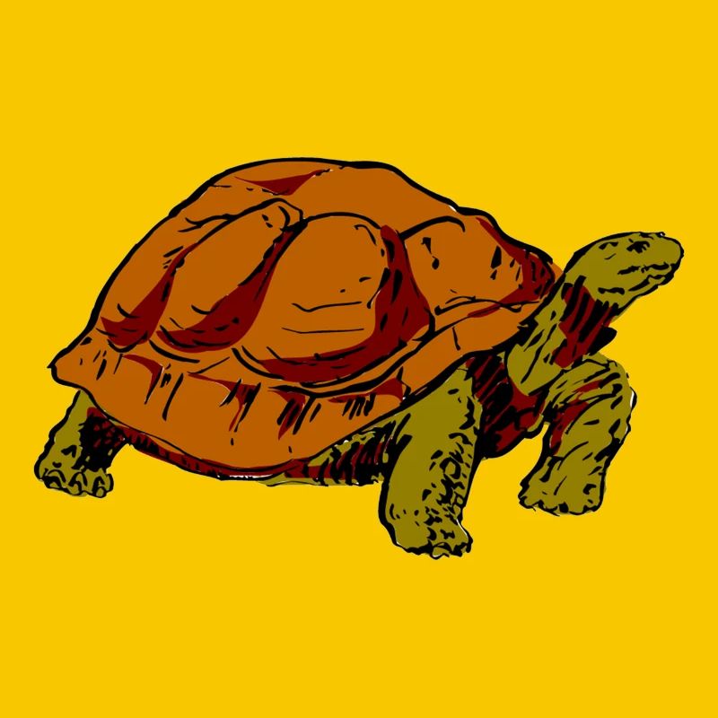 turtle
