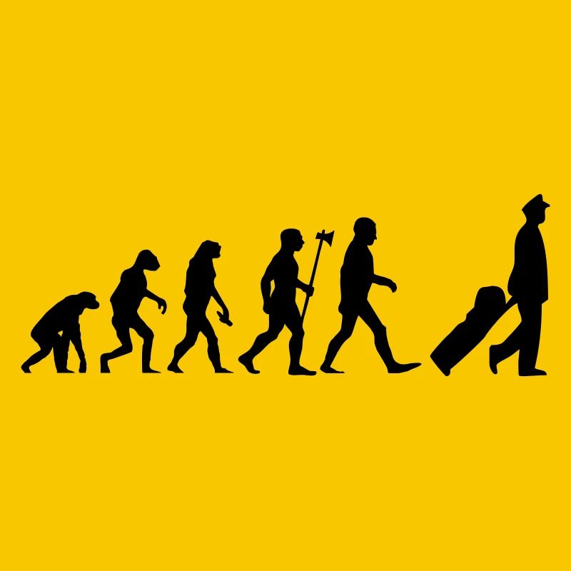 evolution pilot Flugzeug Pilot Flieger