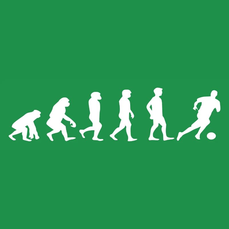 Fussball evolution