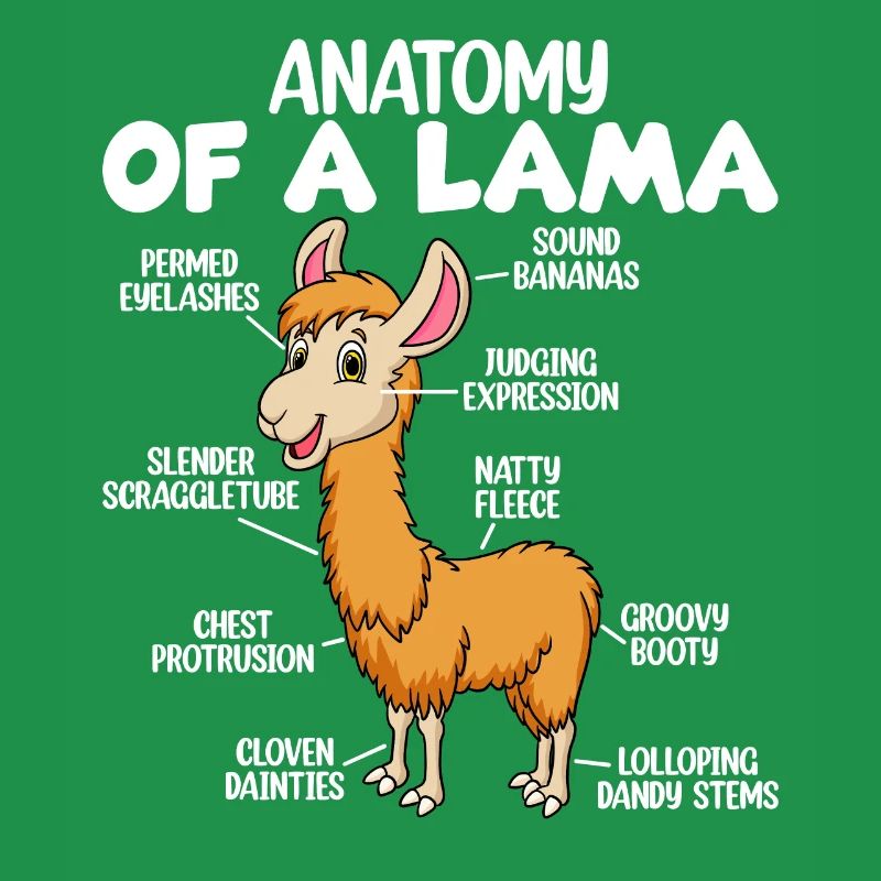Anatomie eines Lamas
