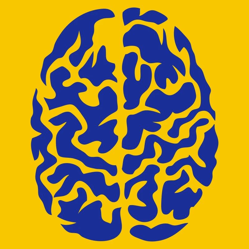 brain seen on drawing