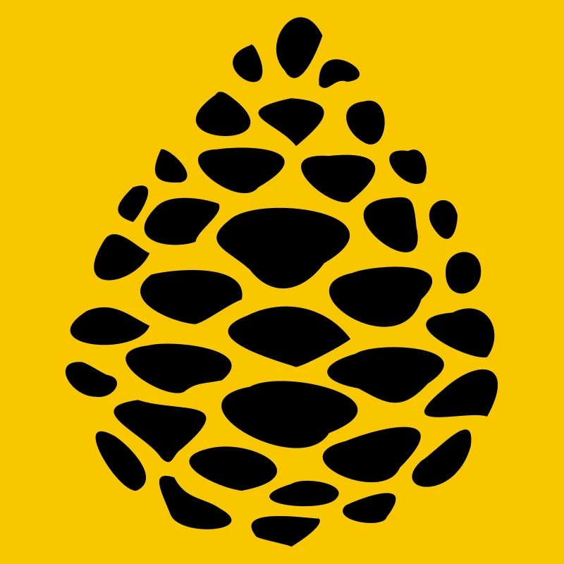 Pine cones pomme de pin pinecone
