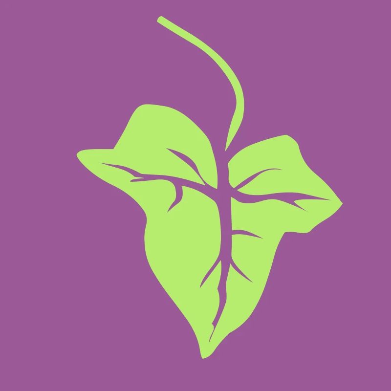Efeu Blatt Leaf