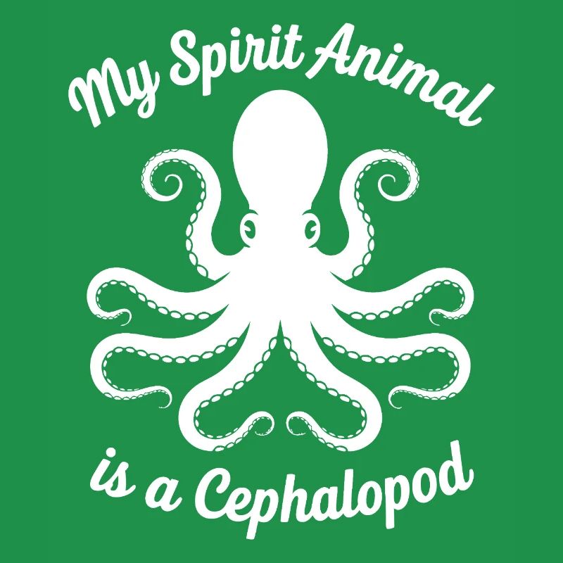 Conception des céphalopodes