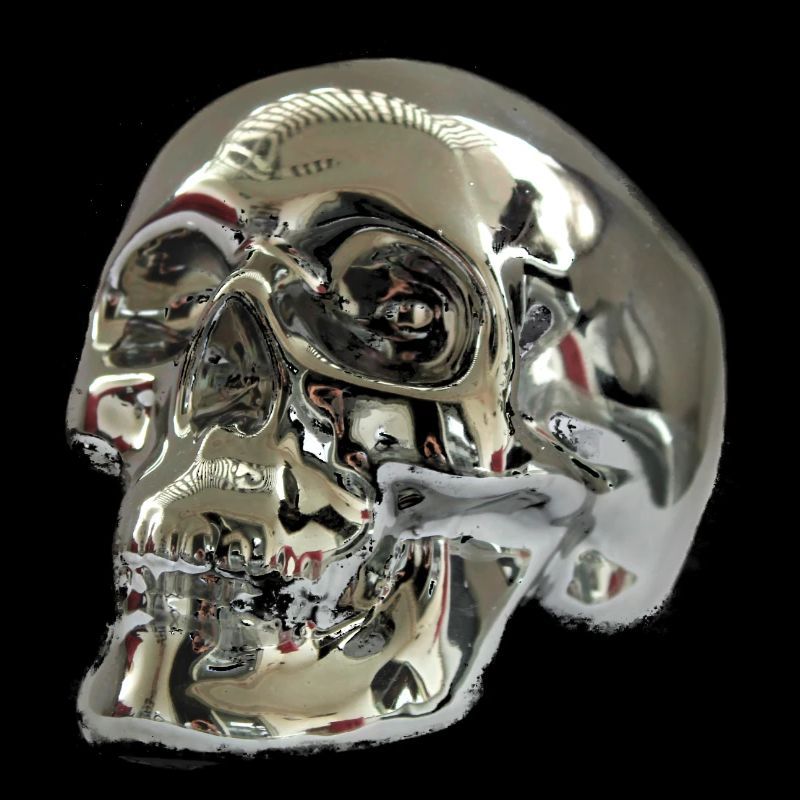 Silver skull