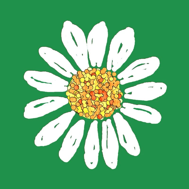 Blume der Gänseblume
