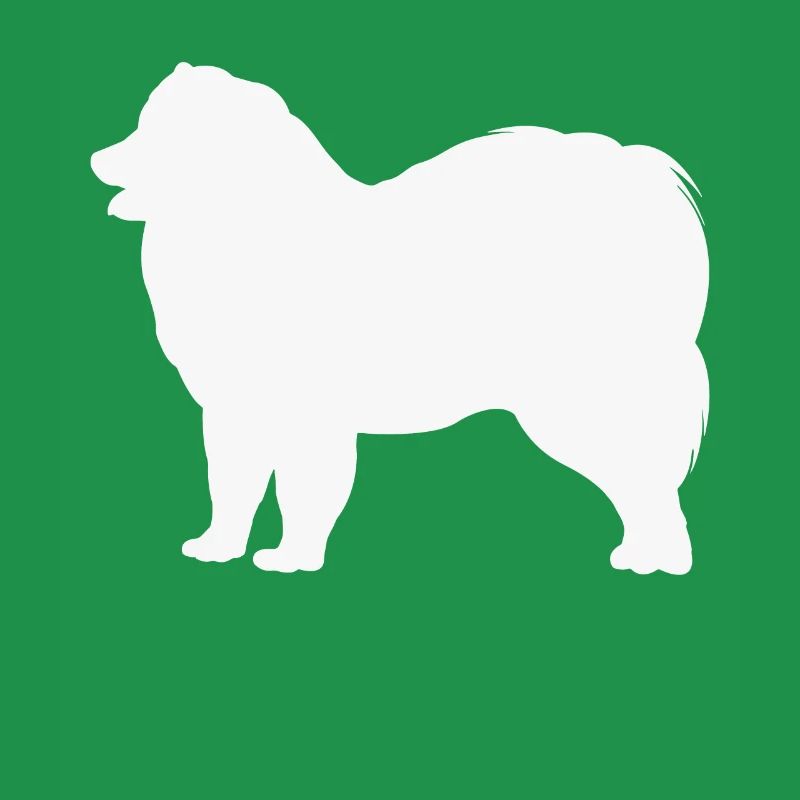 Samoyed