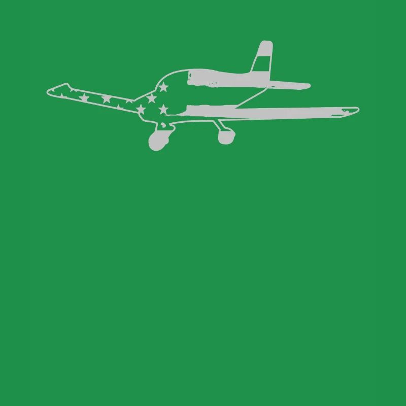 Flugzeug Pilot Luftfahrt