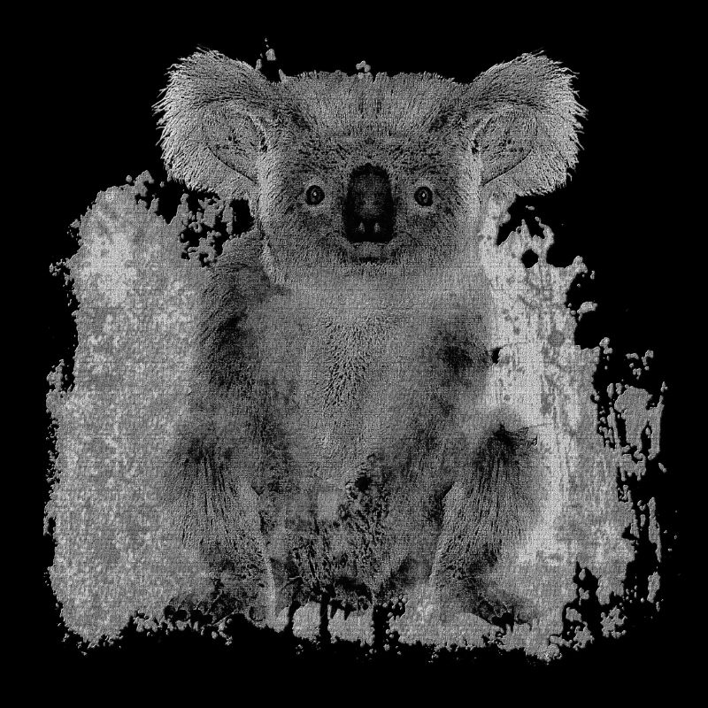australische tiermotive, Koala Bär, Beuteltiere