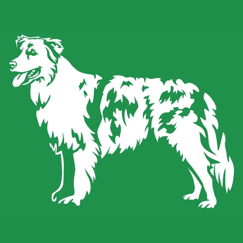 Australian Shepherd "Black Edition"