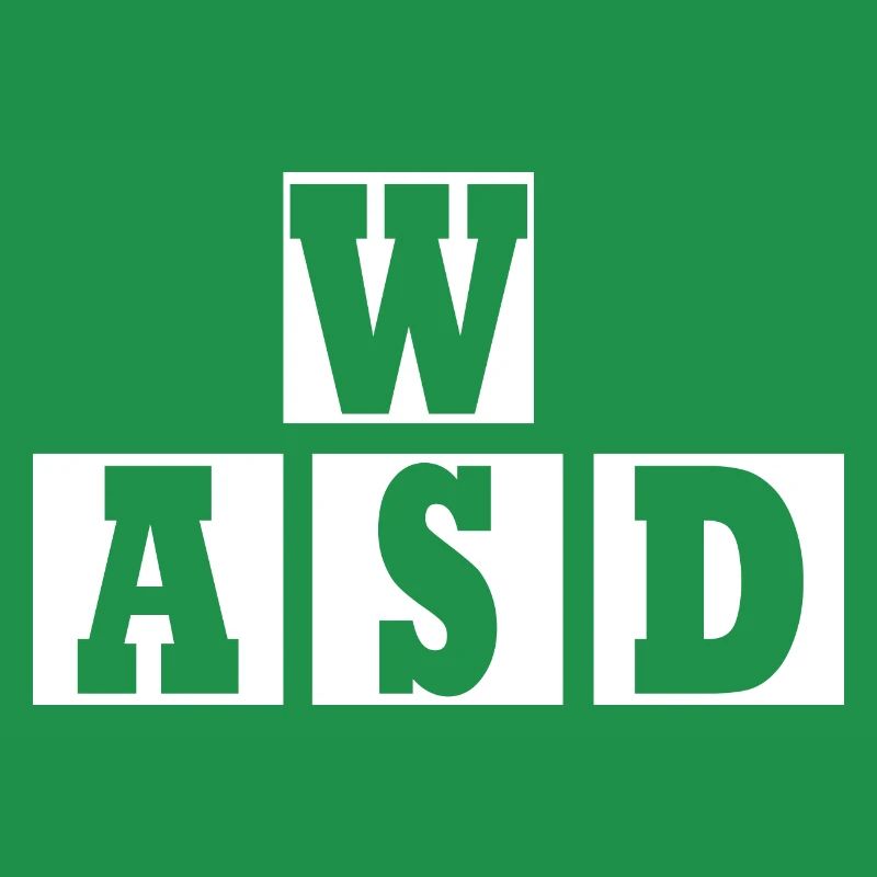 W A S D