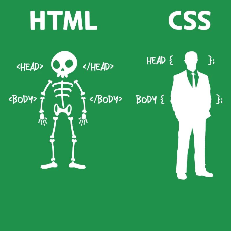 Code Css C++ Php Java Developer Code Skripting