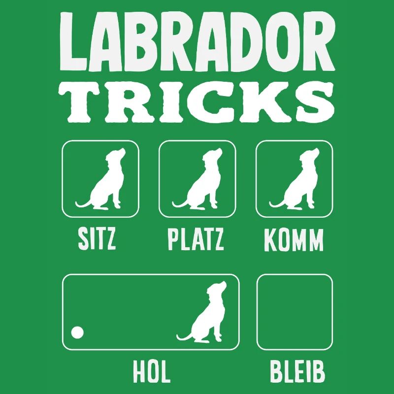 Labrador Tricks