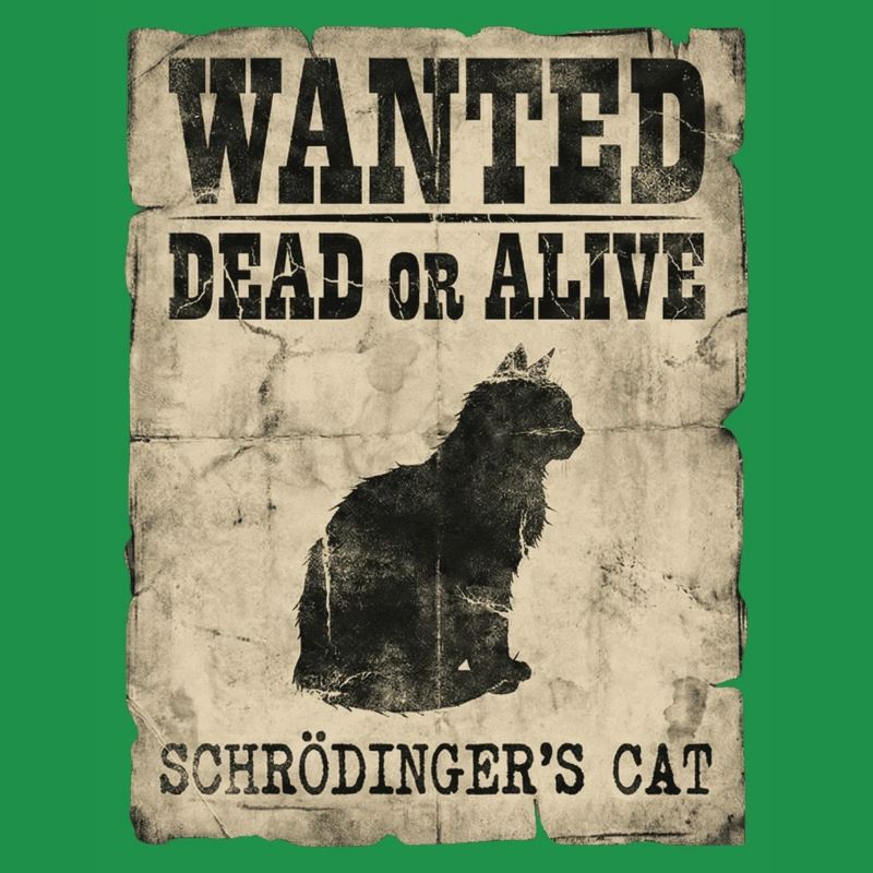 Schrödingers Katze gesucht Tot-oder-lebendig Physik-Wortspiel