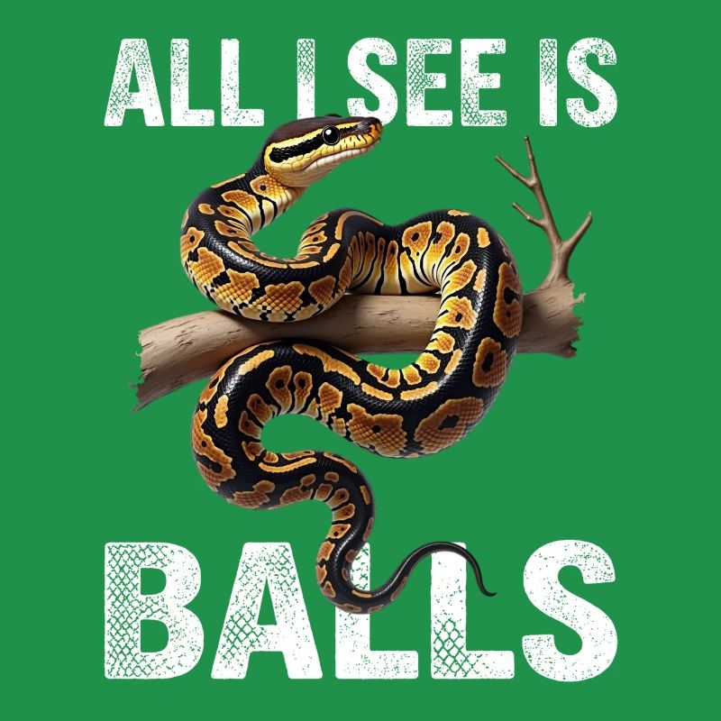 Python roi Serpents Amateurs de terrarium Python