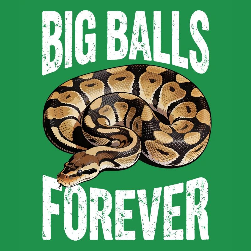 Python roi Serpents Amateurs de terrarium Python