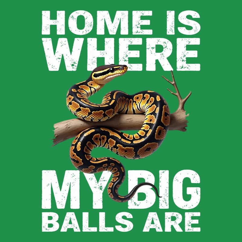 Python roi Serpents Amateurs de terrarium Python