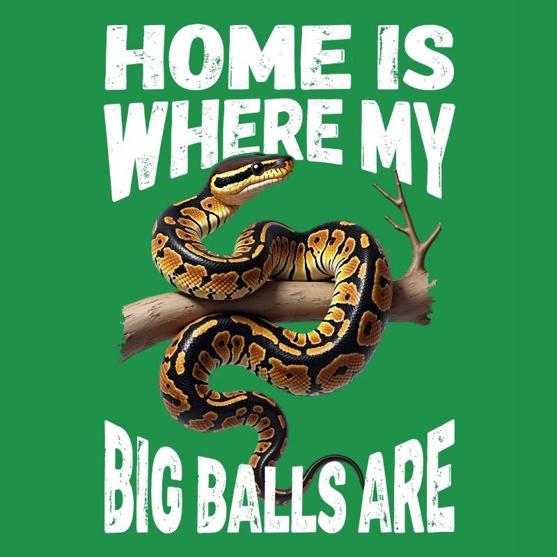 Python roi Serpents Amateurs de terrarium Python