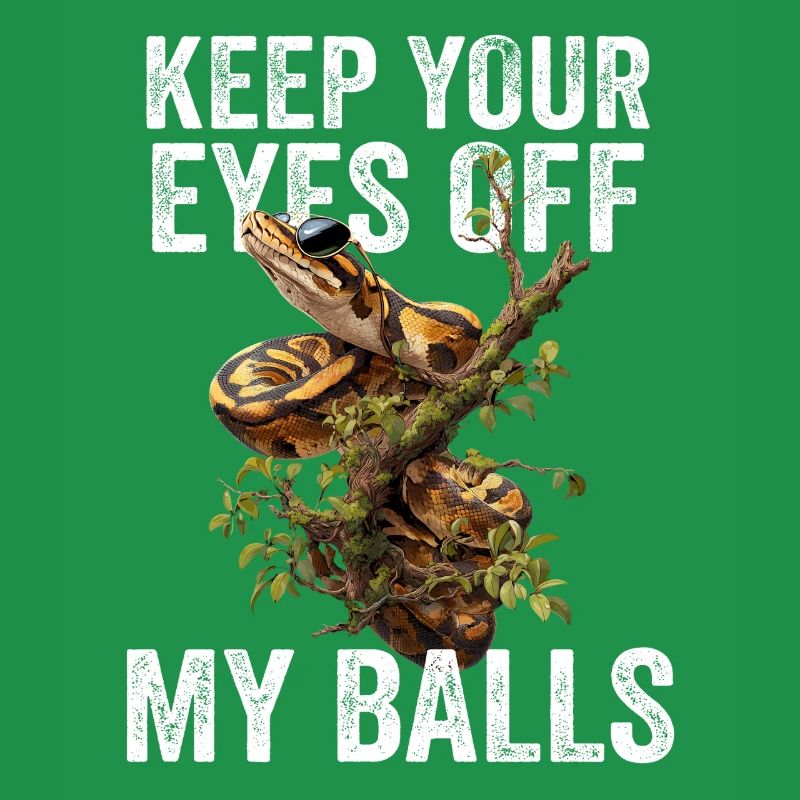 Königspython Schlangen Liebhaber Terrarium Python