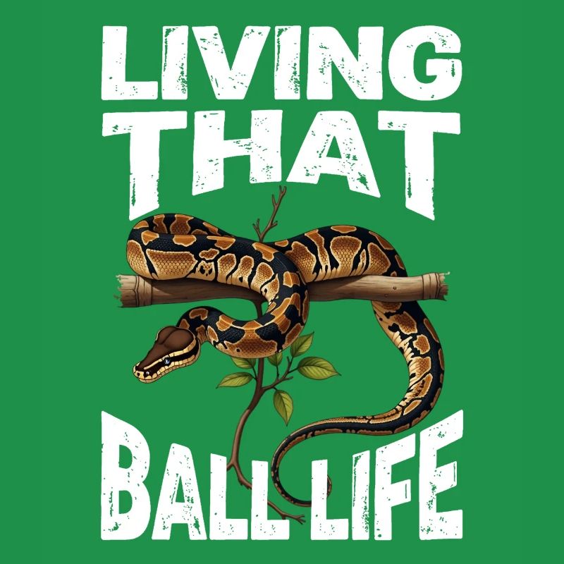 Python roi Serpents Amateurs de terrarium Python