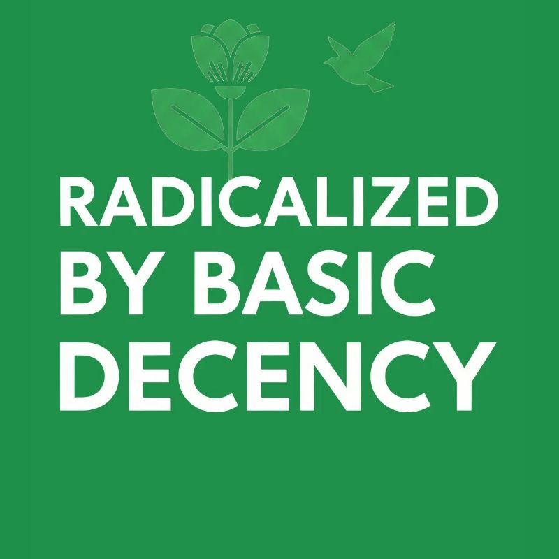 Radicalized By Basic Decency Statement shirt decal