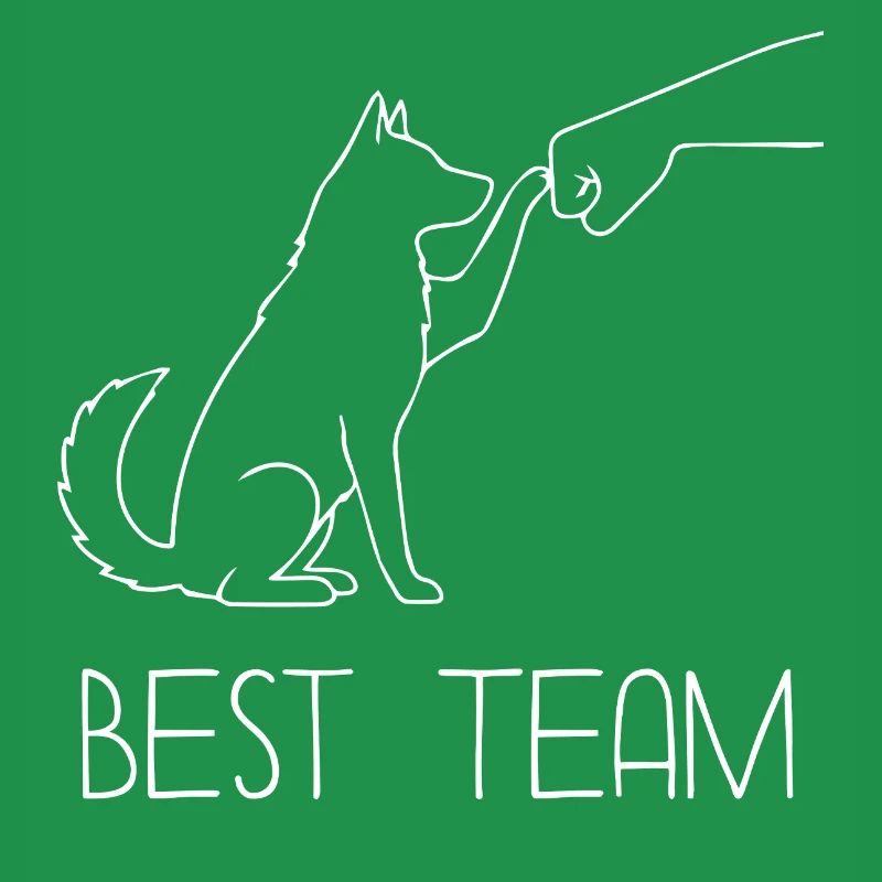 Husky Faust Team