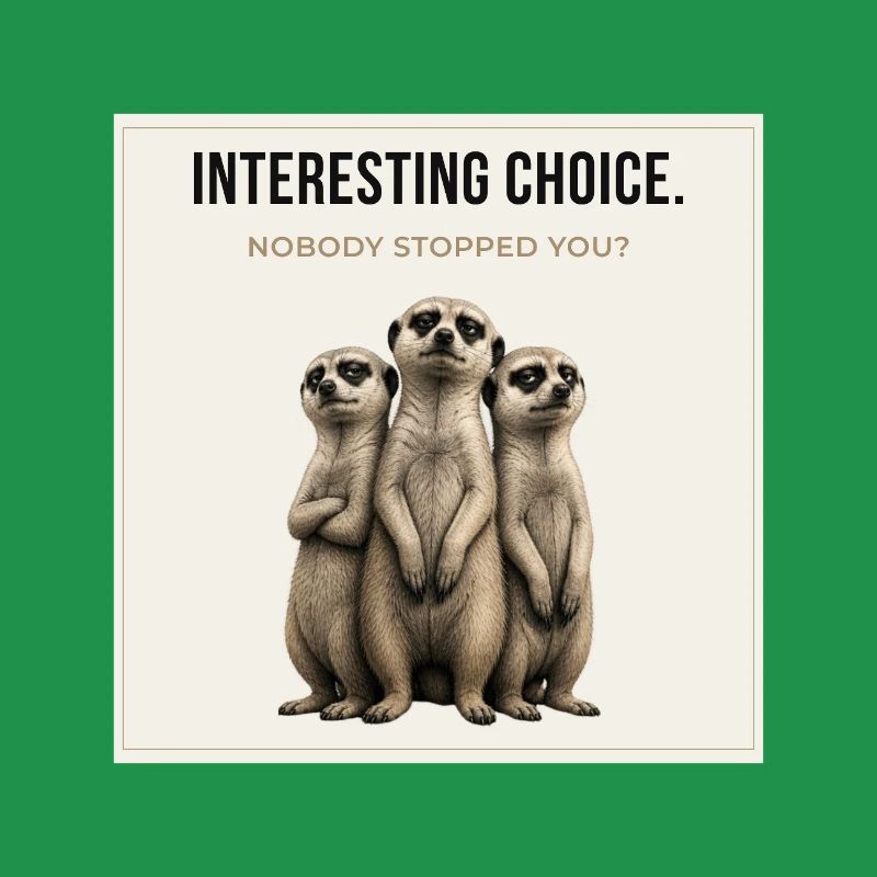 Interesting Choice Meerkat Trio