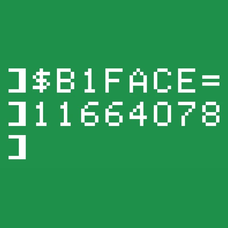 B1FACE Biface Code hexadécimal 8 bit Geek
