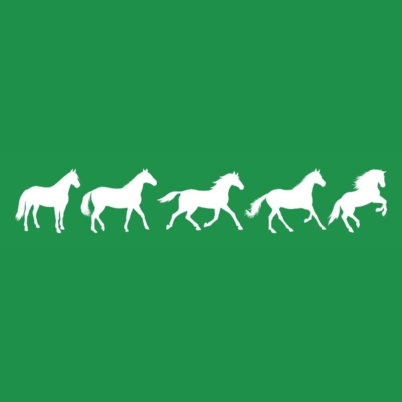 ! Evolution Pferd in Bewegung