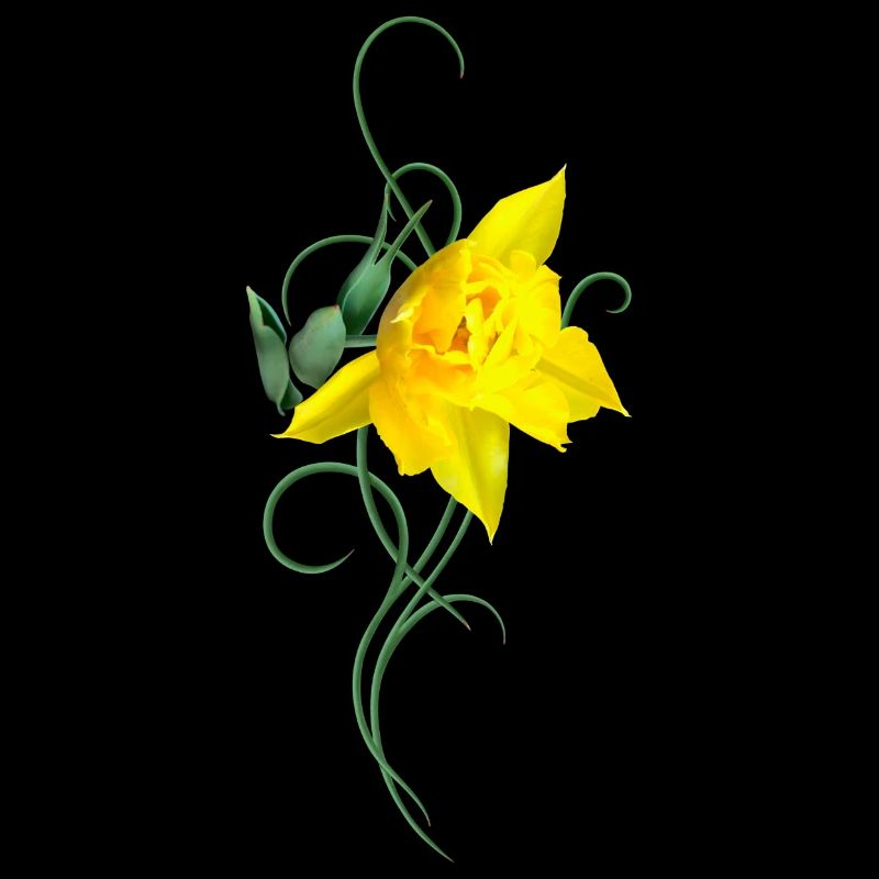 Easter Bell Narcissus Easter