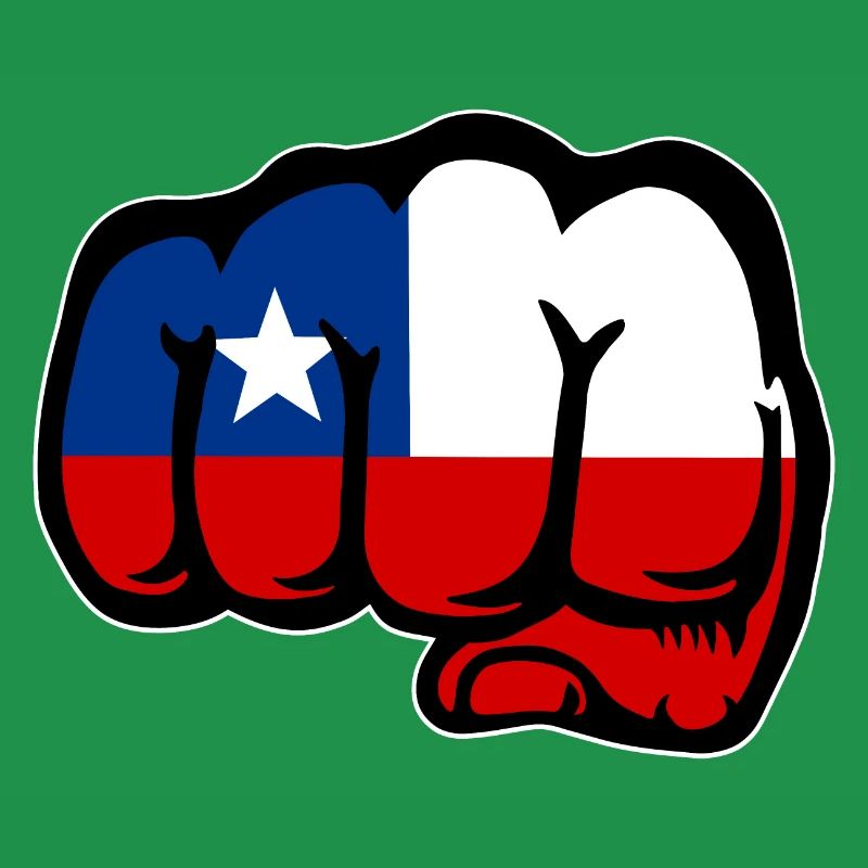 Poing du drapeau du Chili