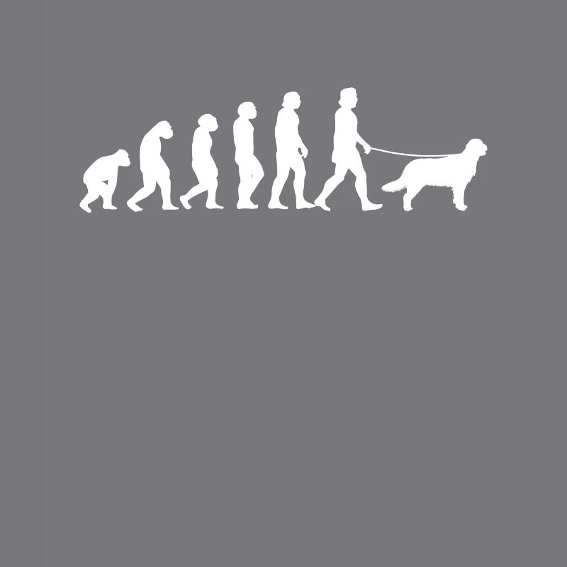 Flat Coated Retriever Evolution Cadeau